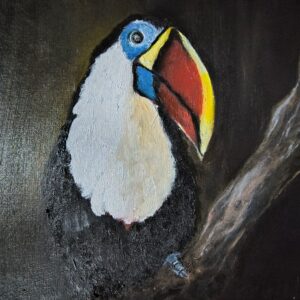 Toucan on a branch surrounded by shadow.