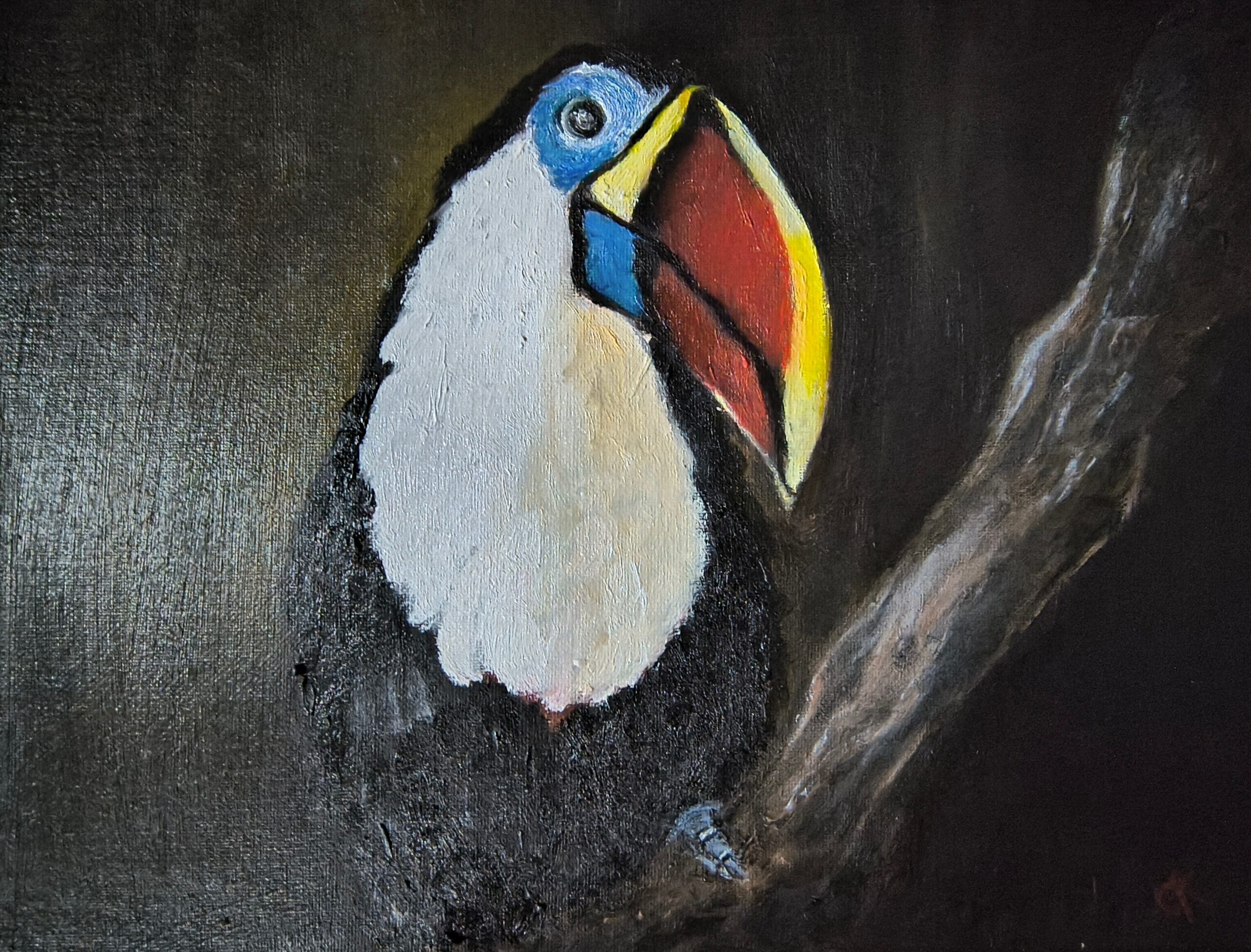 Toucan on a branch surrounded by shadow.
